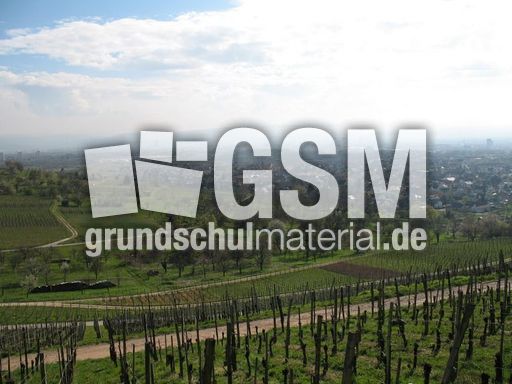 Weil am Rhein 001.jpg